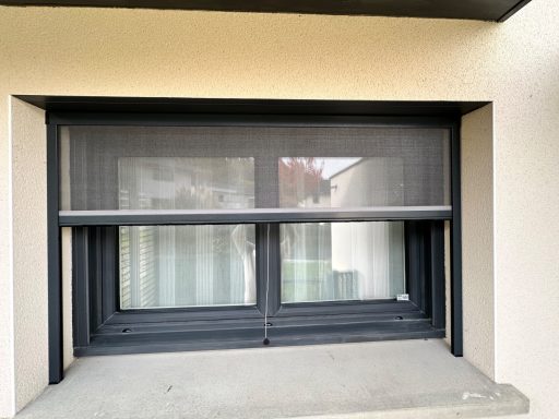 Fenêtre avec moustiquaire, encadrée de murs clairs, vue sur un extérieur flou.