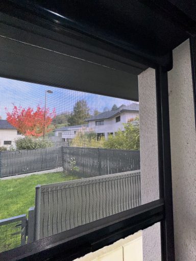 Vue d'une cour avec une clôture et des arbres aux couleurs d'automne.